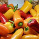 Are Bell Peppers Good For Weight Loss