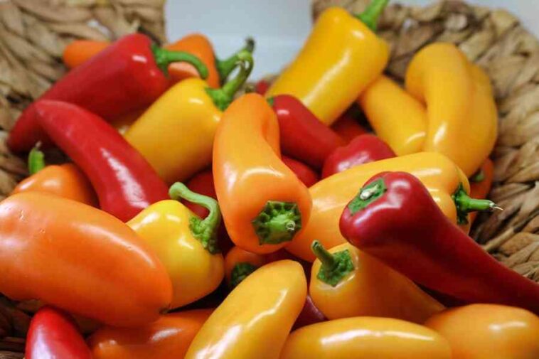Are Bell Peppers Good For Weight Loss
